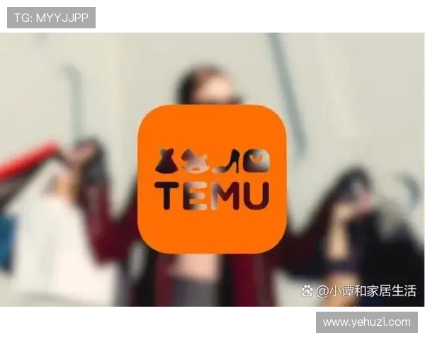 k8娱乐app常见问题与解决方案，帮助用户高效应对使用过程中遇到的各种困扰