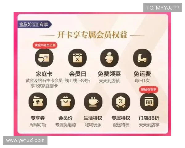 凯发vip会员权益详解让你轻松掌握专属福利与优先服务