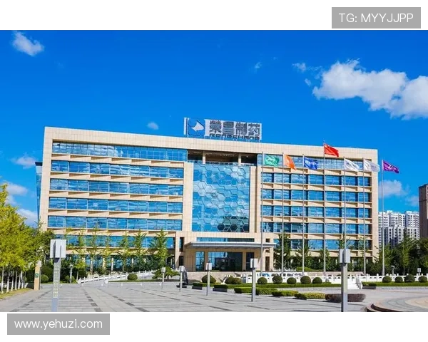 凯发体育集团网址官方入口更新公告，帮助用户第一时间掌握最新登录方式